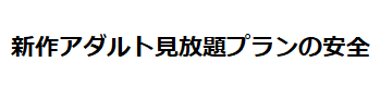 新作アダルト見放題プランの安全性