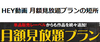 HEY動画 月額見放題プランの長所